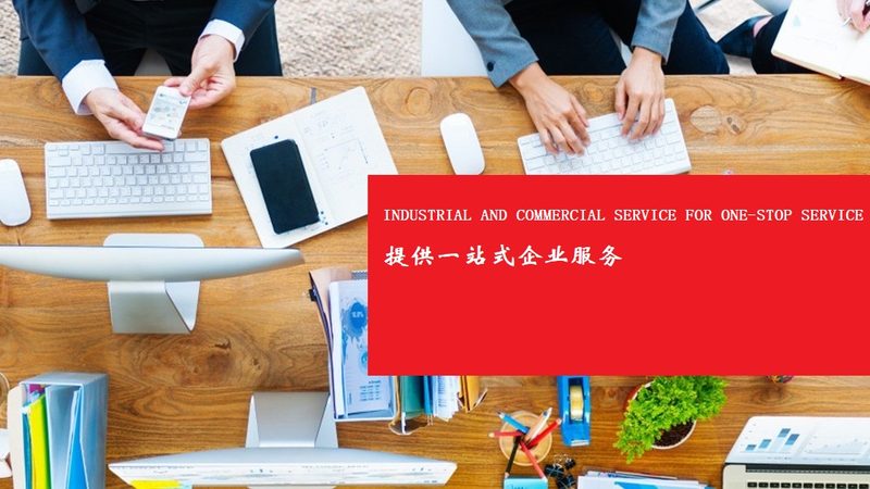 可行性研究报告：技术参数规范标准的解读与重要性
